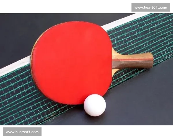 高智尔球走红:智慧球类的玩法全攻略